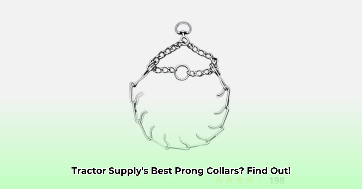 prong-collar-tractor-supply